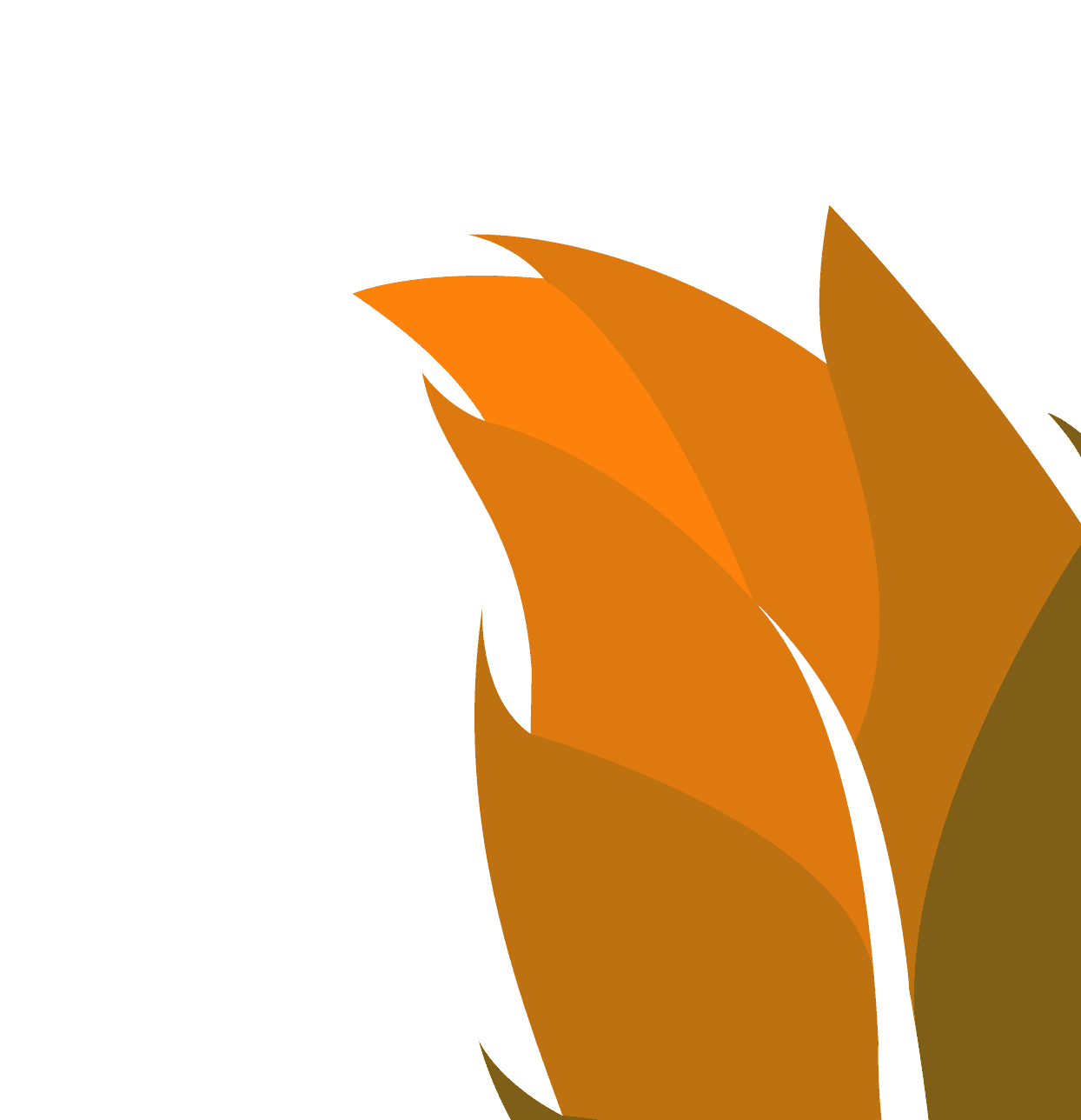 Footer Decoration