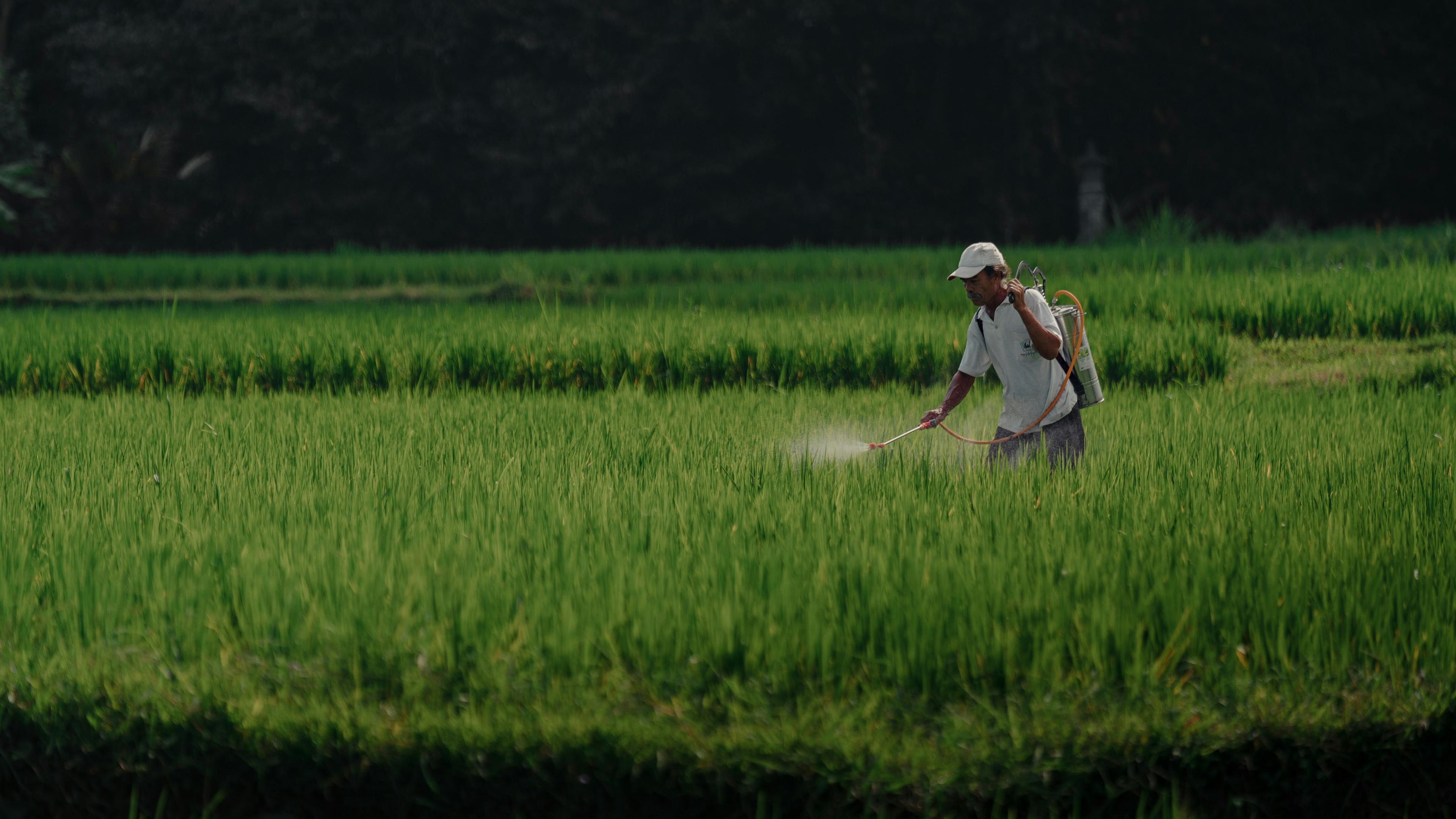 Empowering Farmers