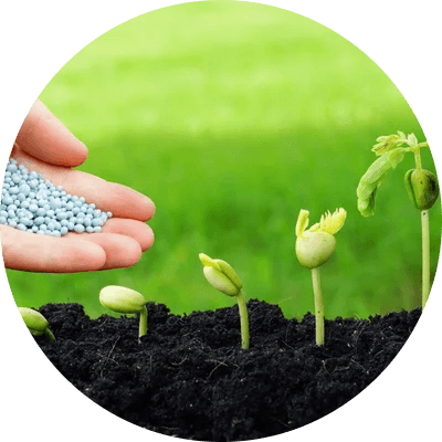 Fertilizers