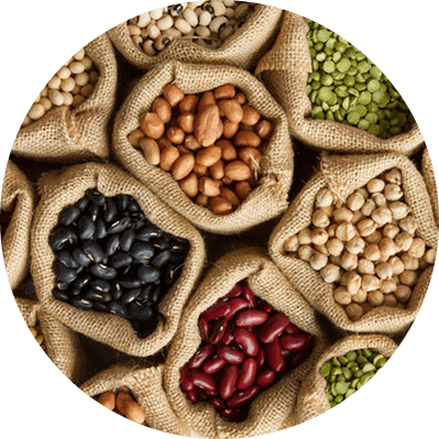 Seeds