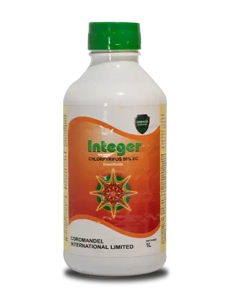 Product Main