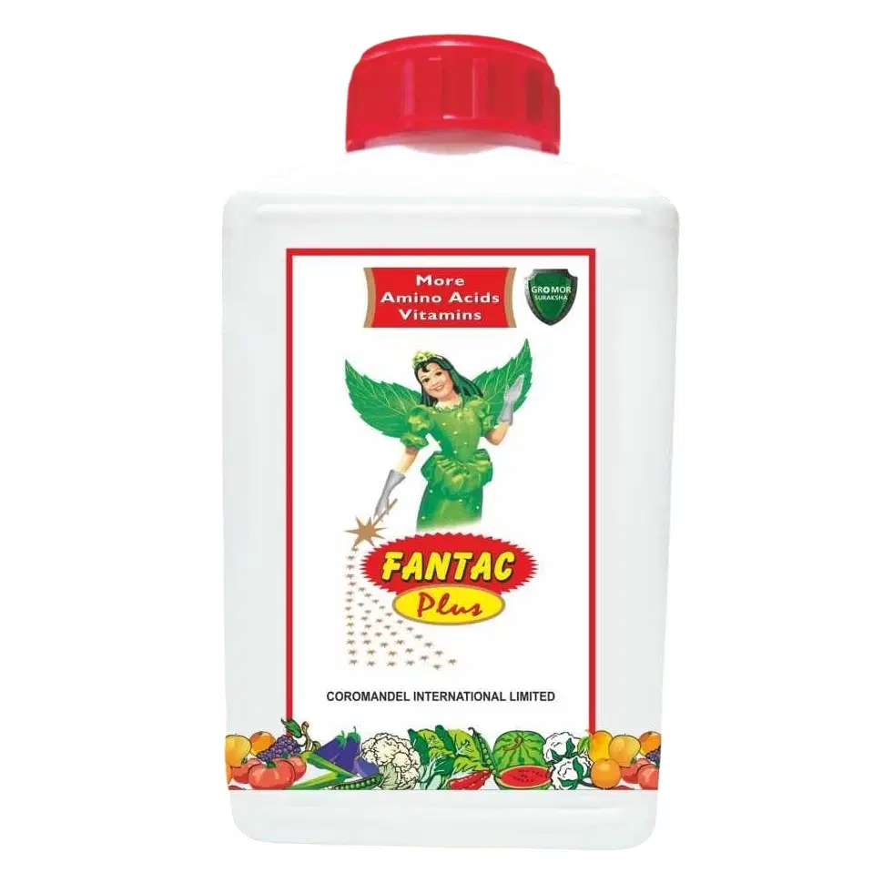 Product Main
