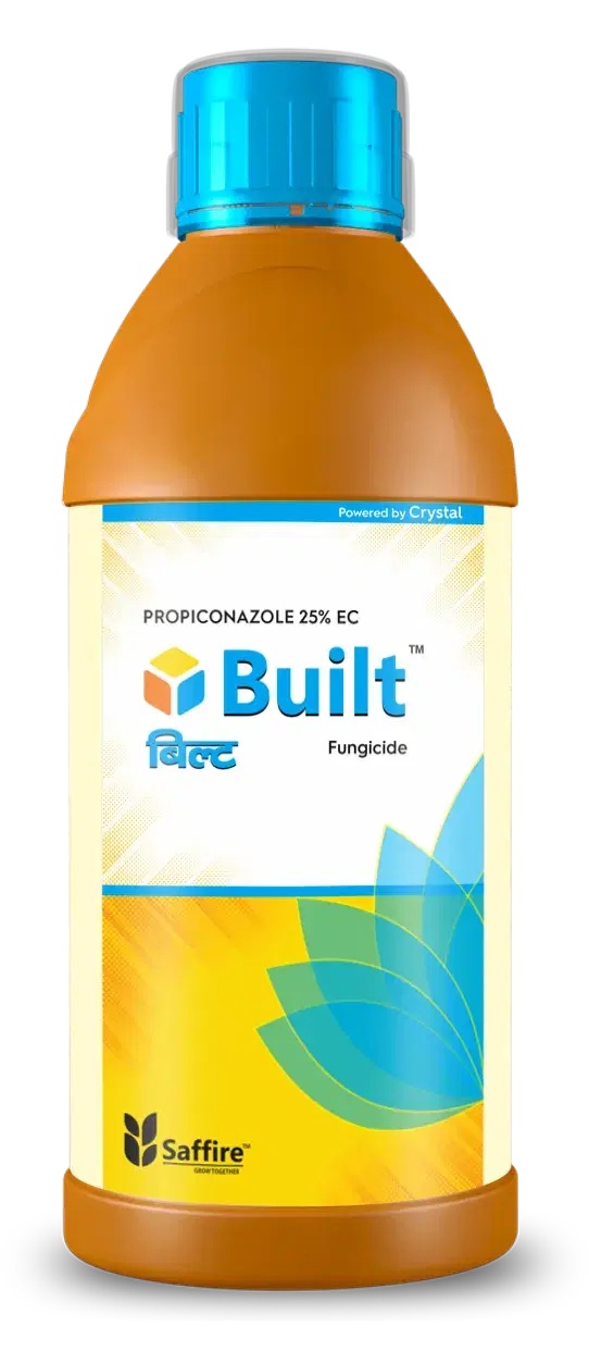 Product Main
