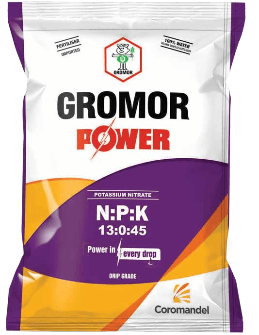 Product Main