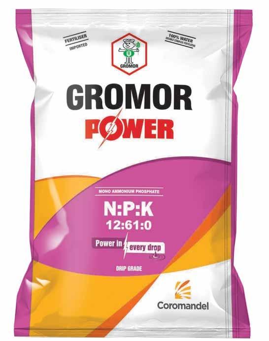 12:61:0 Gromor Power