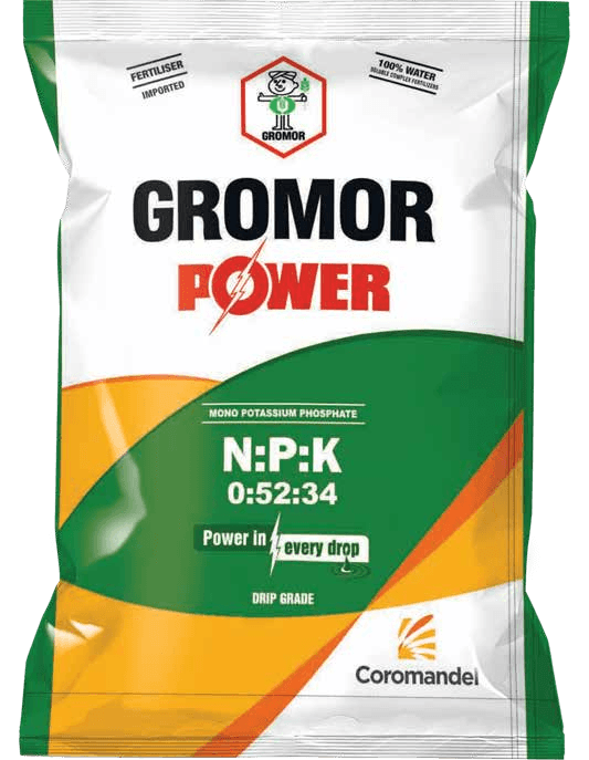 Product Main