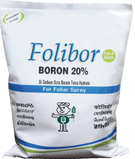 Folibor