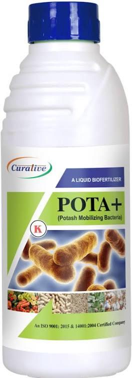 Product Main