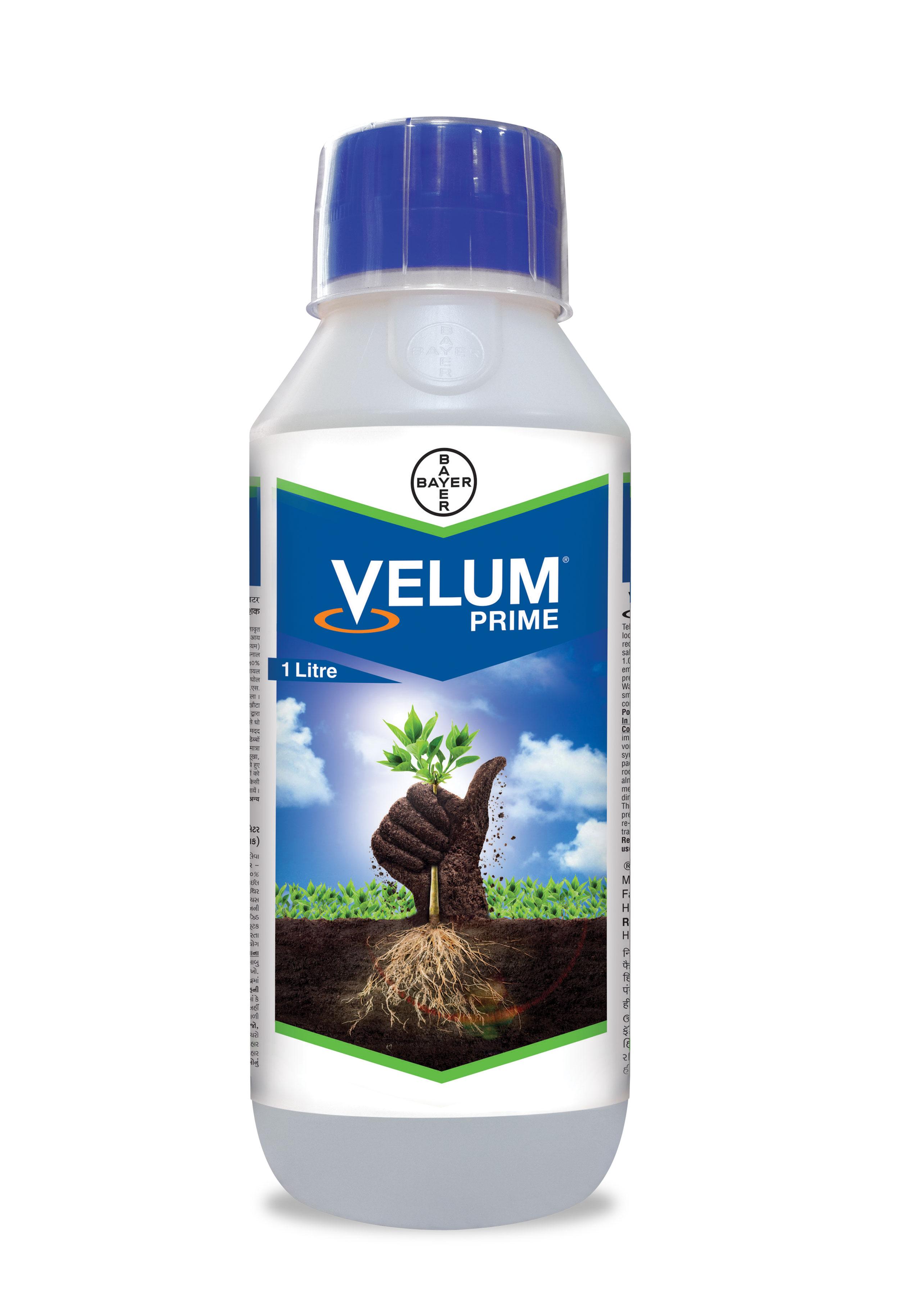 Product Main